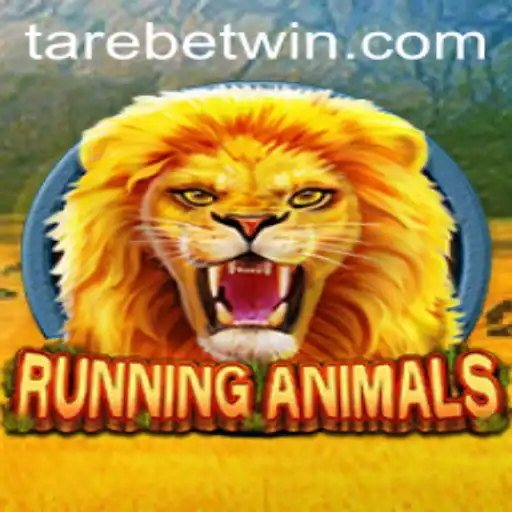 tarebet Casino App